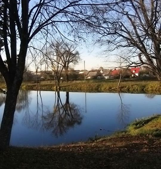 на берегу Зазеркалья 