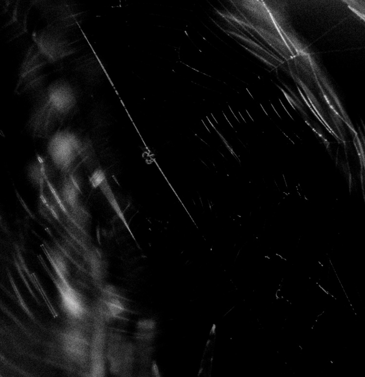vortex 