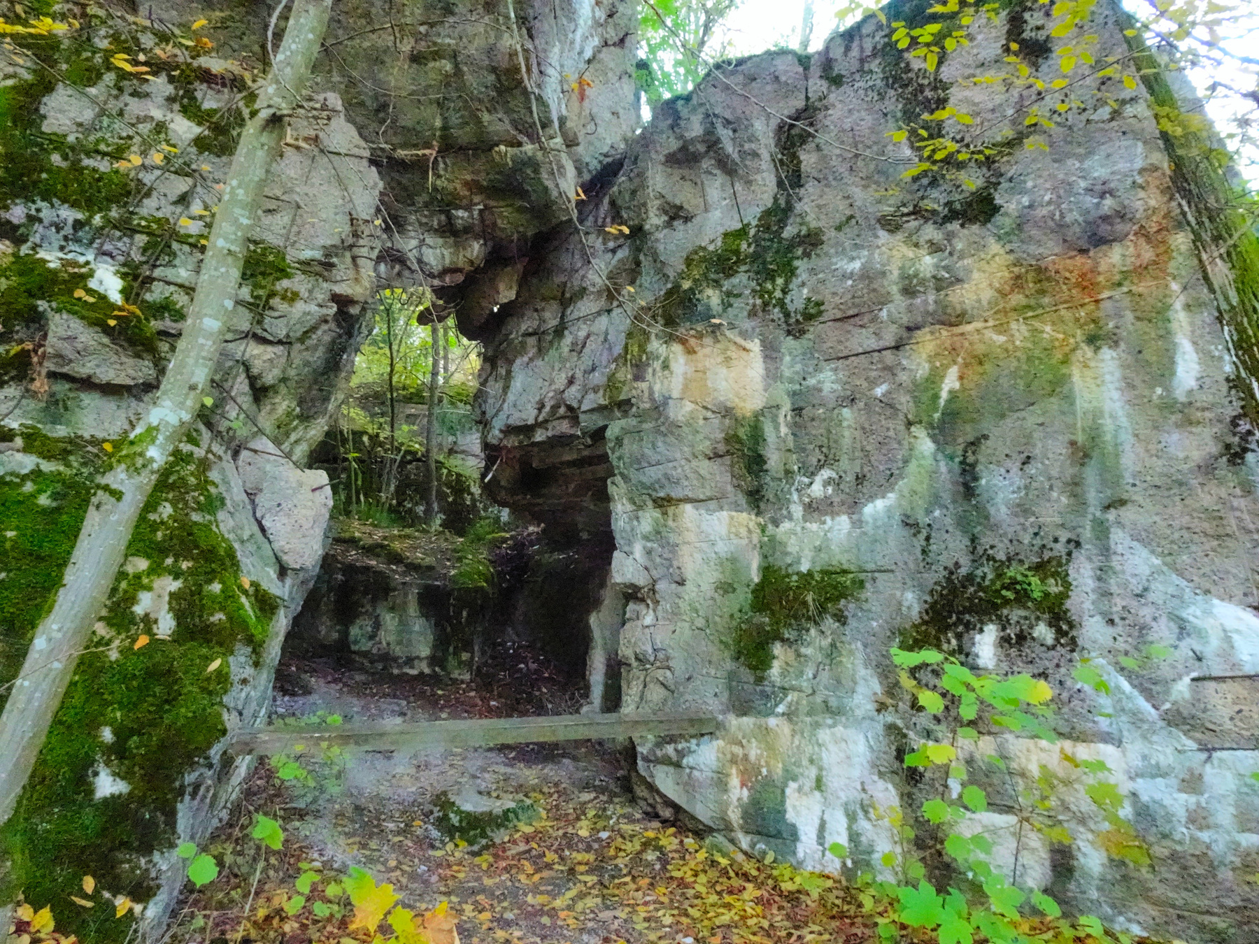 Ставка Гитлера Wolfsschanze Волчье логово Польша Wolfsschanze Гитлер