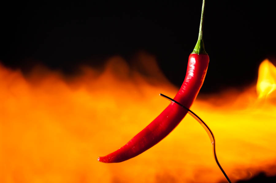 Hot pepper 