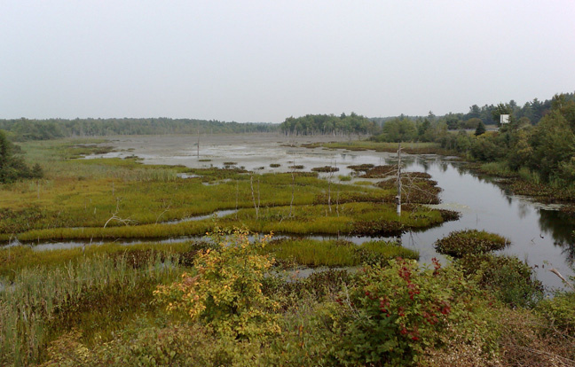 Maine 