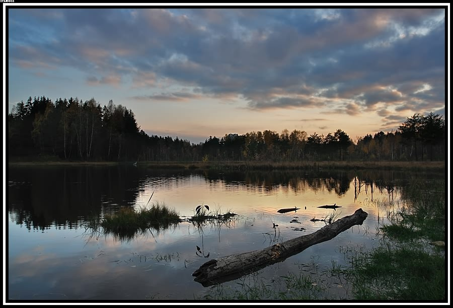К вечеру ближе 