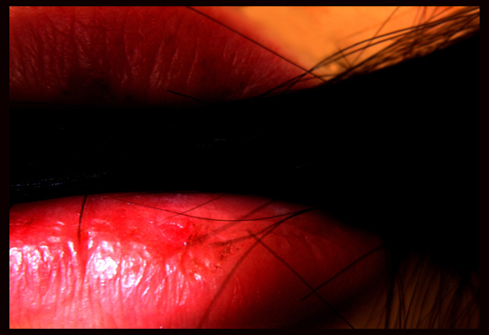 lips губы, волосы, вместе