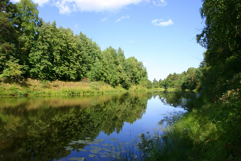 Клёвые места Лето, рыбалка, клёво