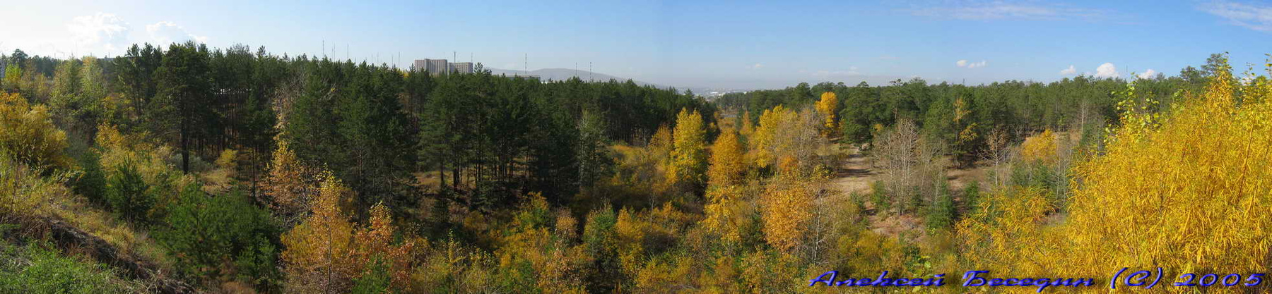 Осенняя панорама леса Лес, осень