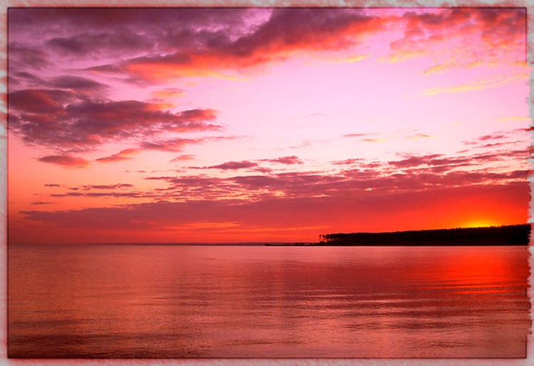 Life is red Новосибирск море red