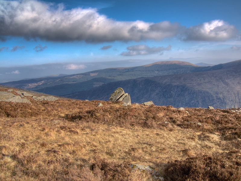 Wicklow 