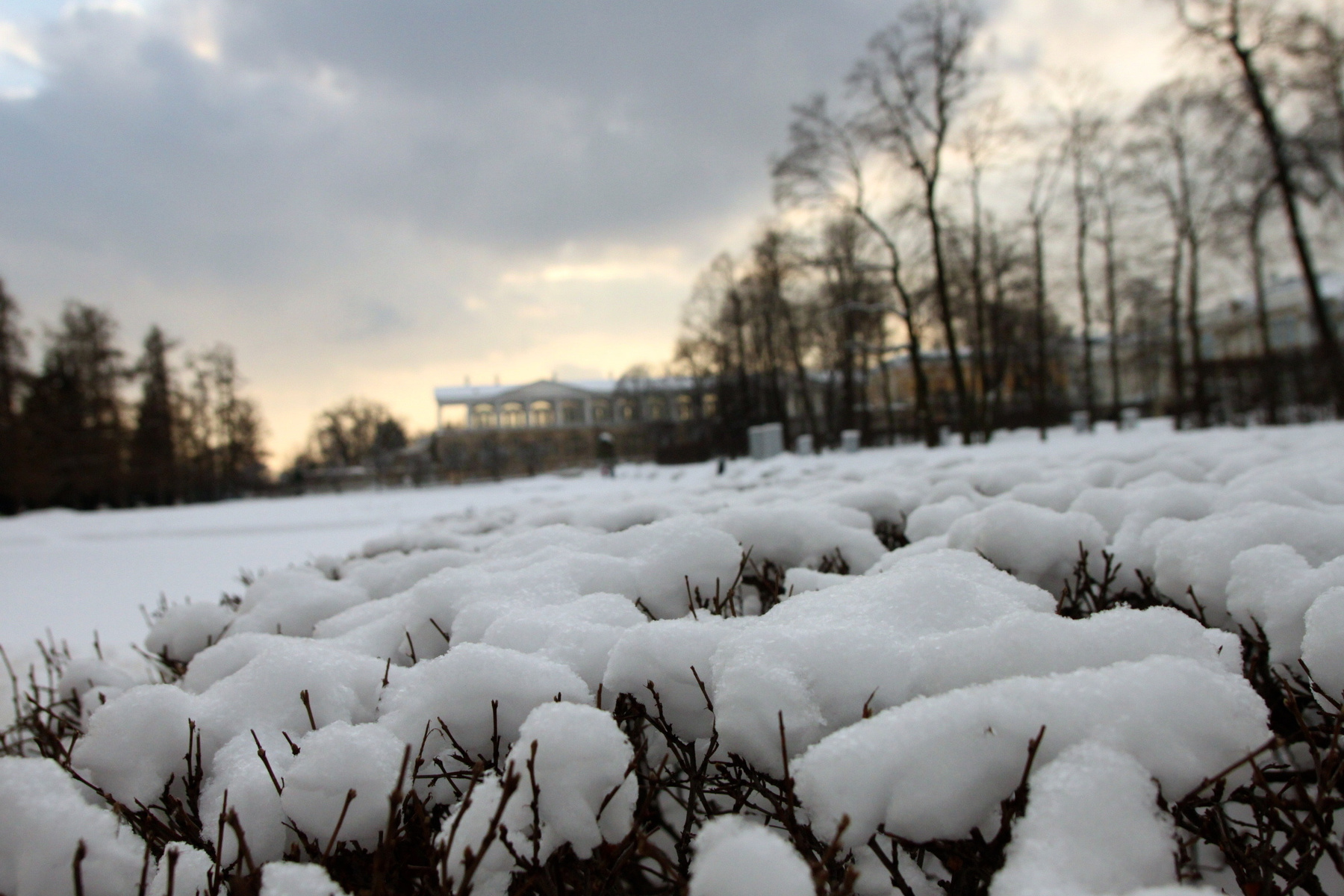 царское село spb