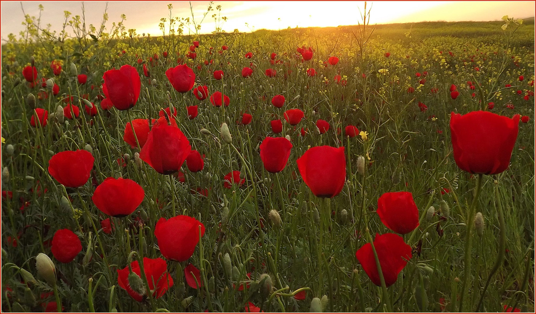 На закате 