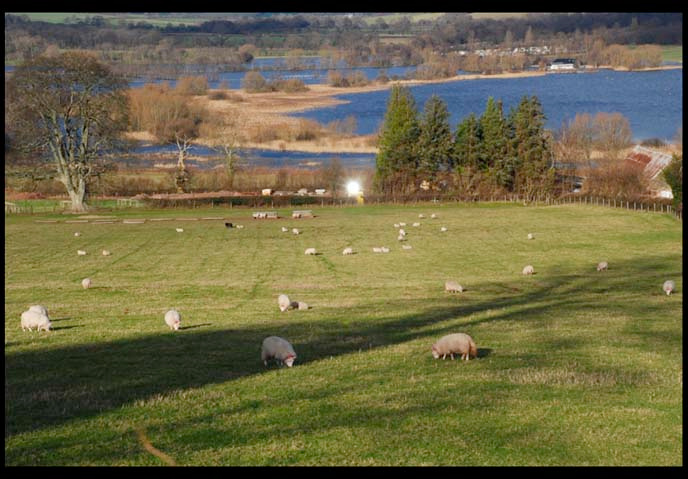 *A perfect day* Wales