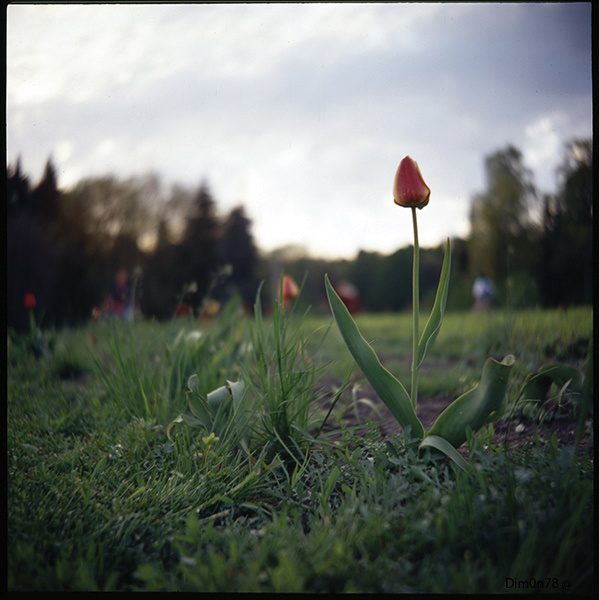 test_bokeh тест обьектива