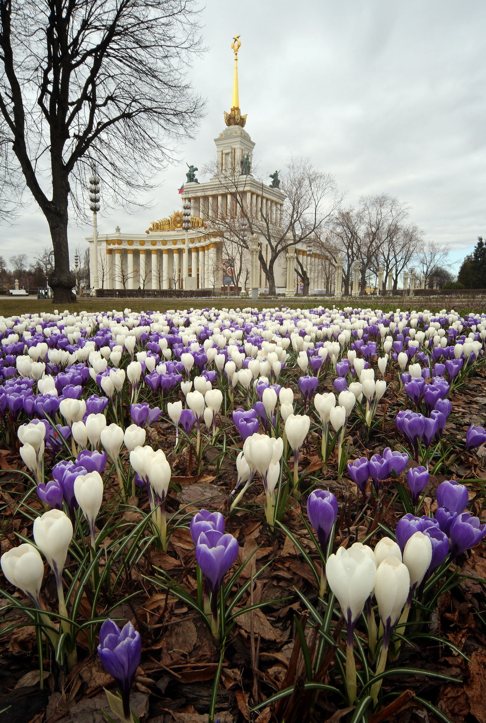 ВДНХ 