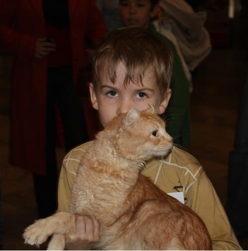 Выставка кошек Мальчик кошки 