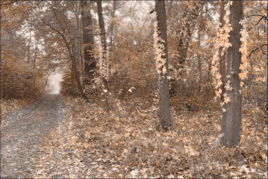 В гости к Осени осень