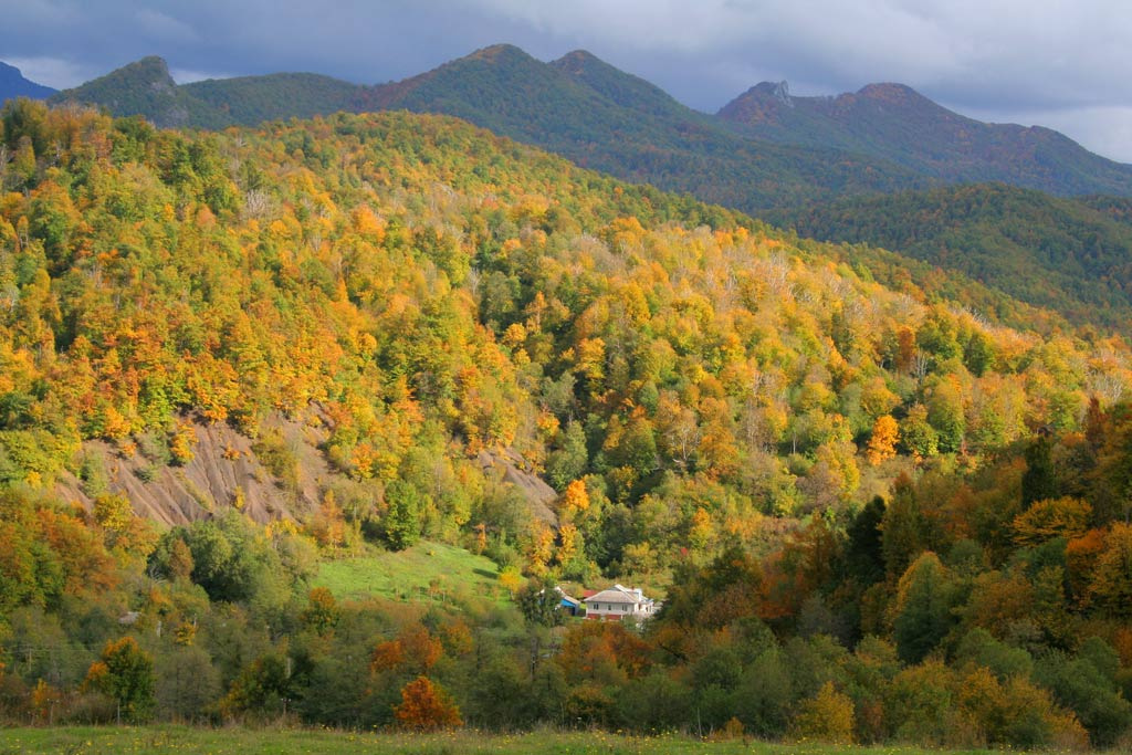 Осеняя сказка Осень лес