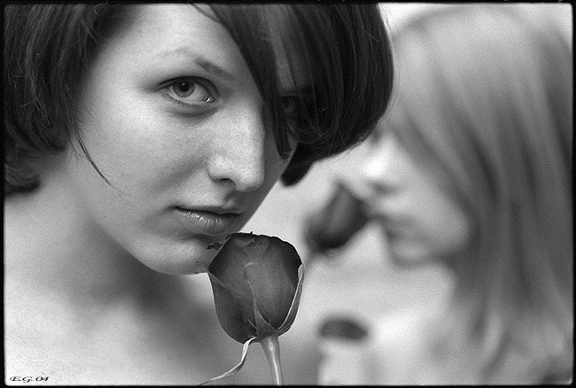 Розы #2 розы