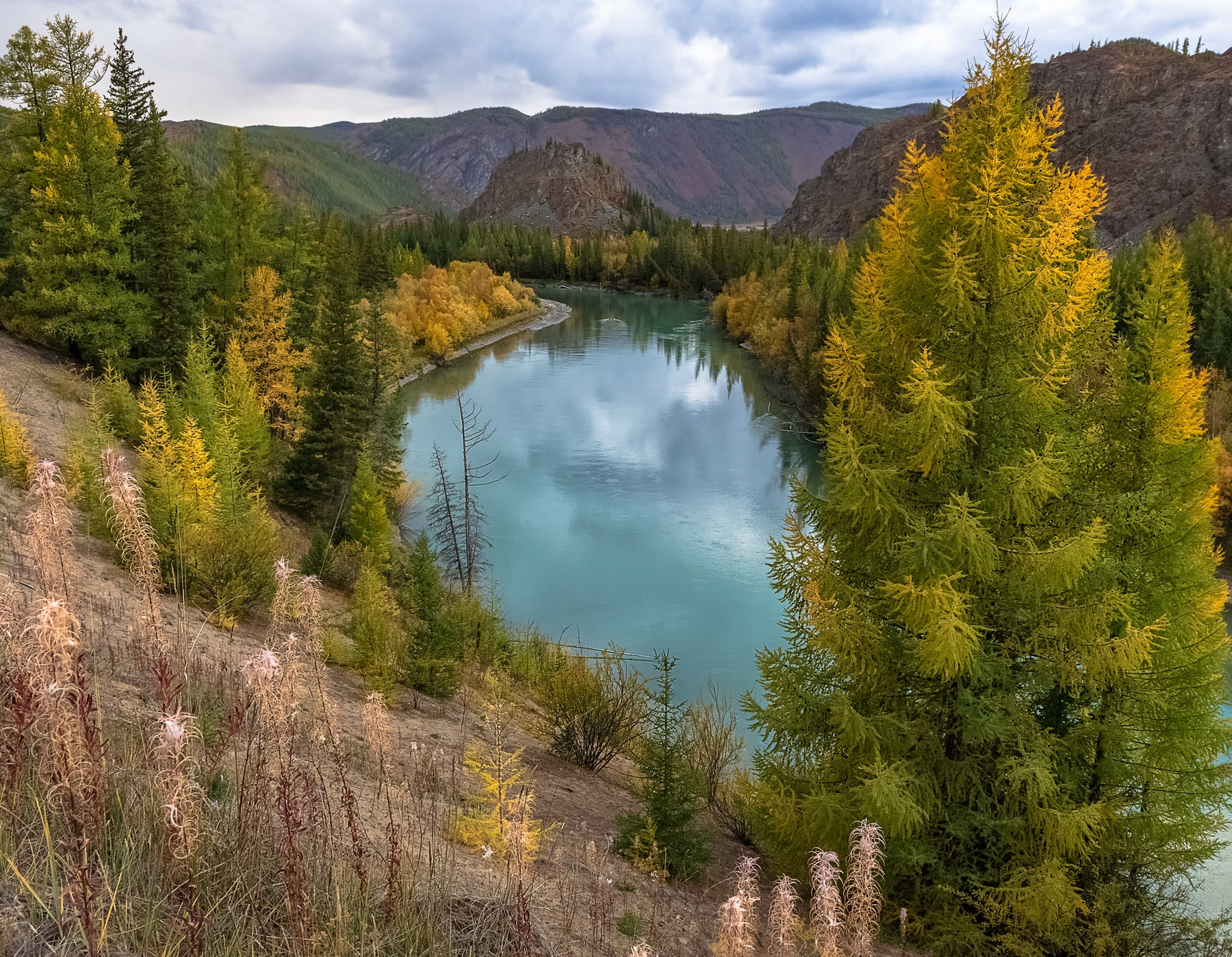Осенняя Чуя Алтай осень непогода Чуя