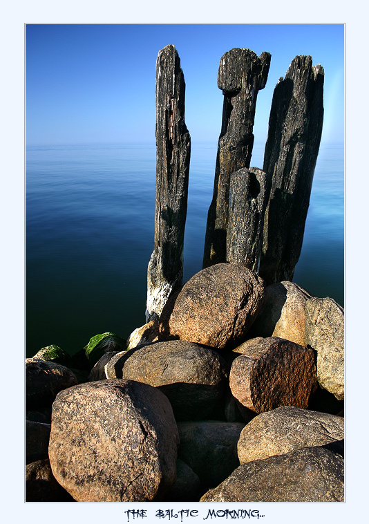 ~ The Baltic Morning ~ 