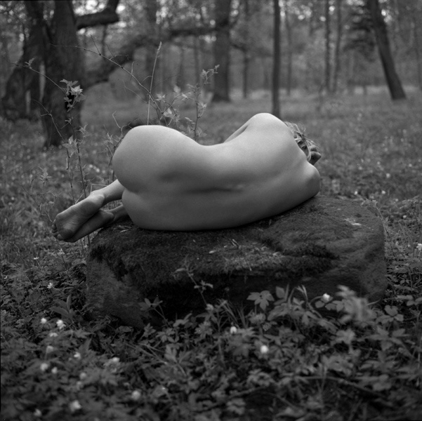 silence in the forest zina