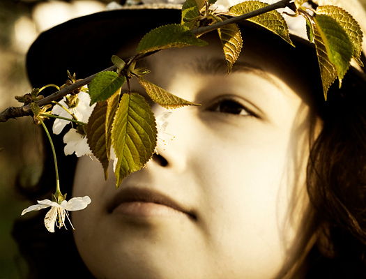 Spring 
