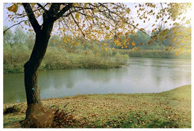 ...унылая пора, очей очарованье. 
