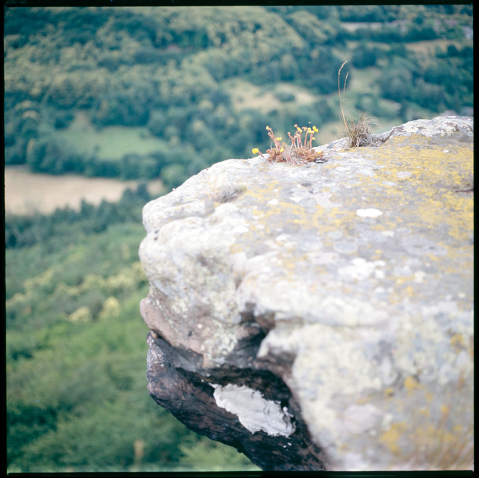 на краю Rollei