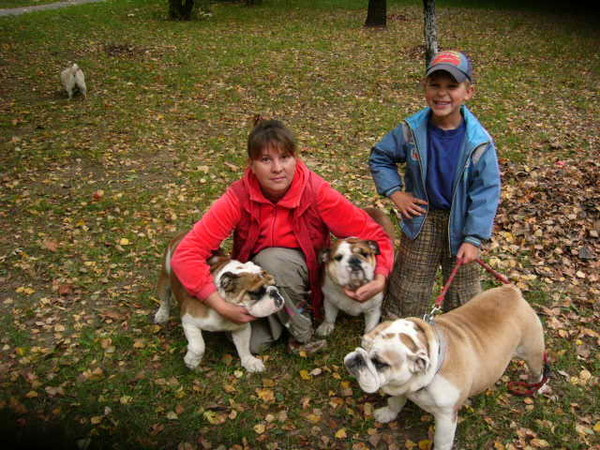 ***english buldog kenel kenel "Licharbull' breed english buldogs and spitz dogs puppies