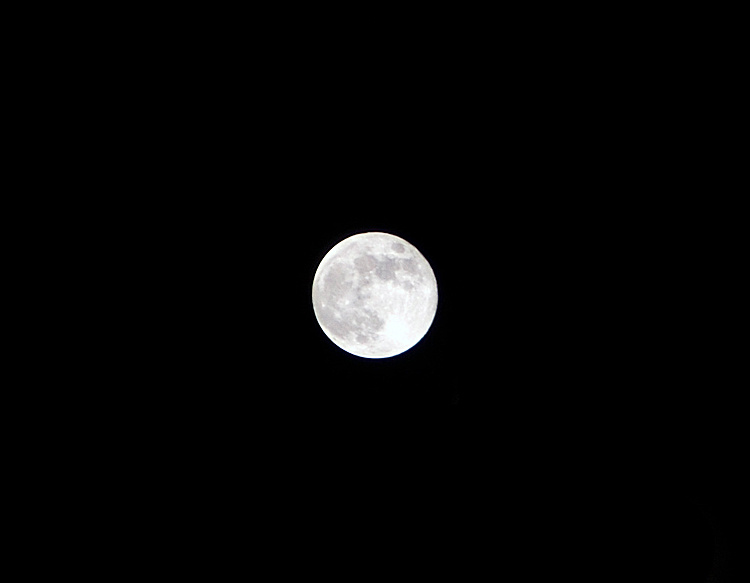 just moon moon