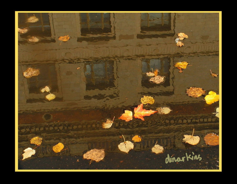 Осенняя осень, лужа, листья, МГУ