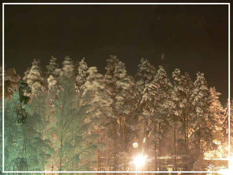 Ночное свечение Ночь снег зима деревья свет