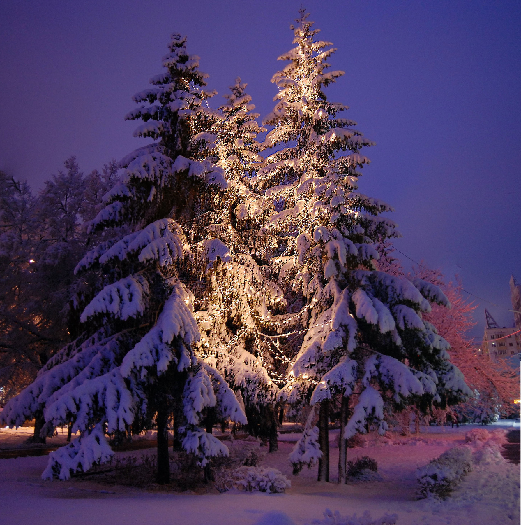  хоровод 