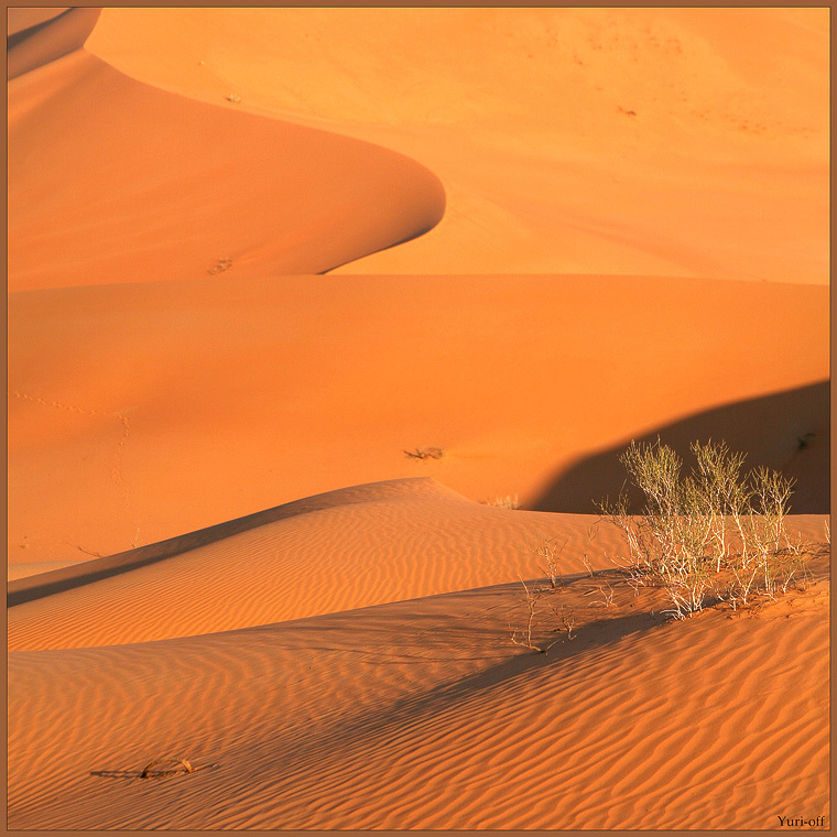 ФОРМЫ И ТЕНИ... (или следы в пустыне Rub Al Khali, Оман) Оять
