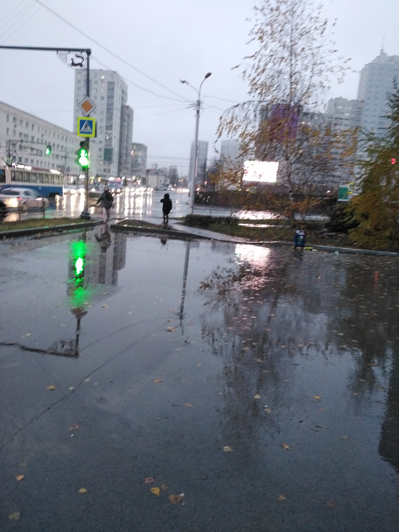 Город как зеркало ... Дождь отражения светофор дерево фонарь...В отдалении фигурка человека...Дома