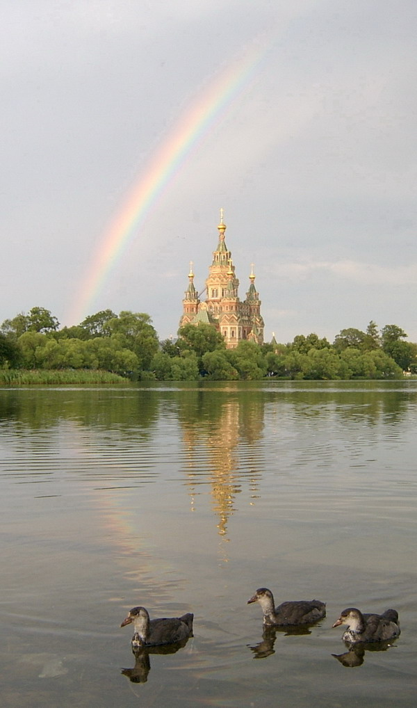 Радуга! Радуга, утки, отражение, собор