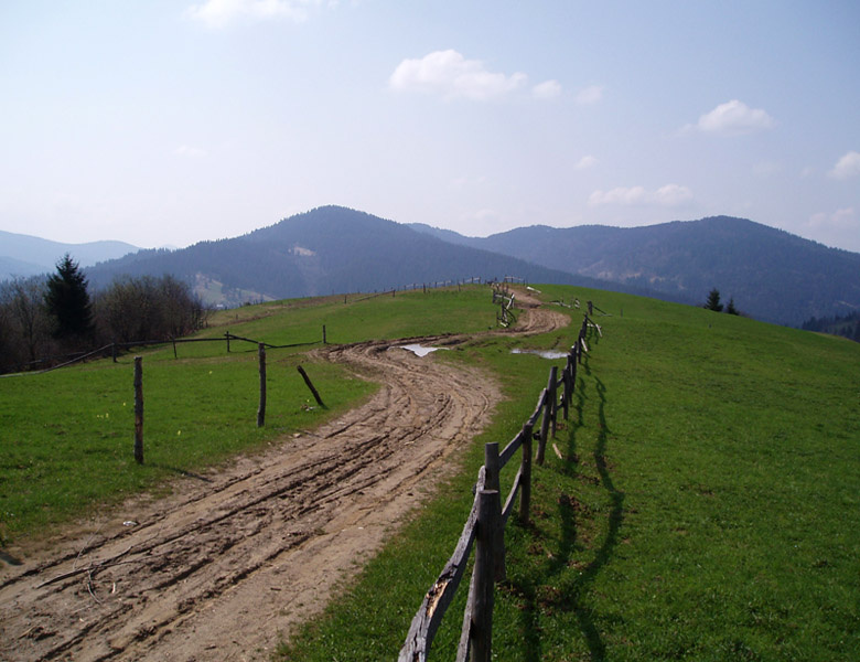 в пути... Карпаты, дорога, горы