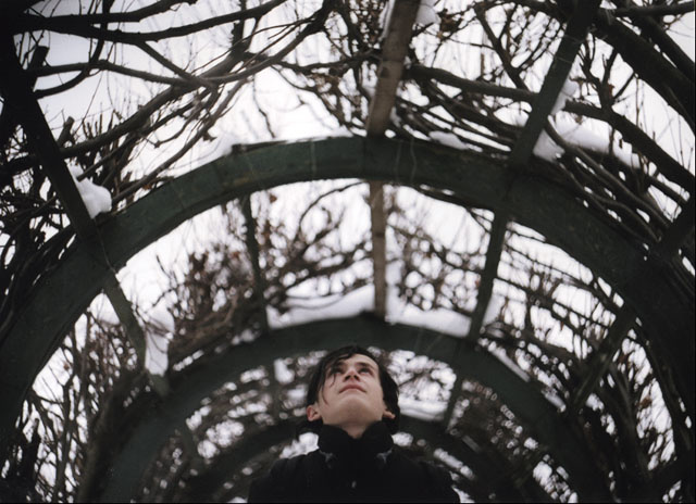 ..a forest worm