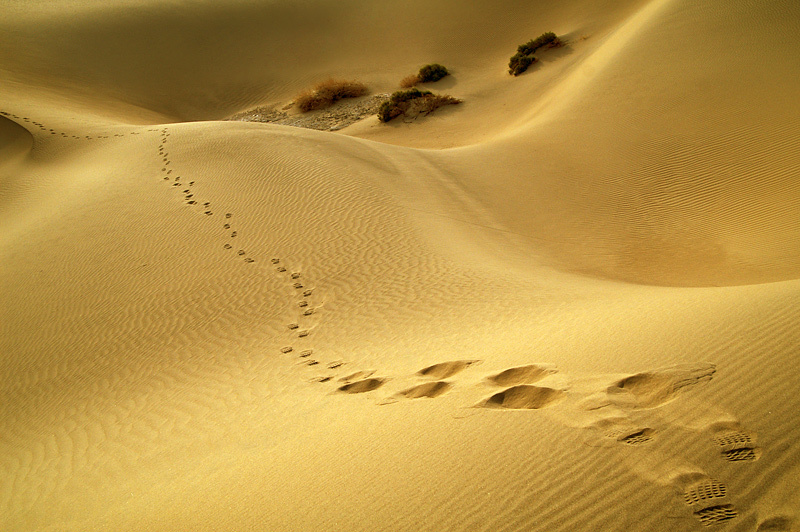 Там чудеса, там Рейфман бродит :) Death Valley