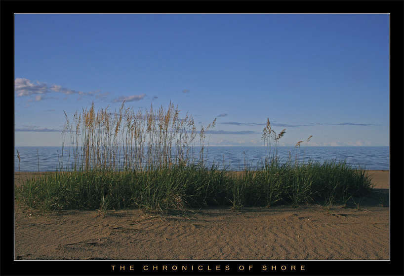 The Cronicles Of Shore 