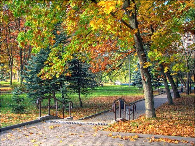 в парке осень парк