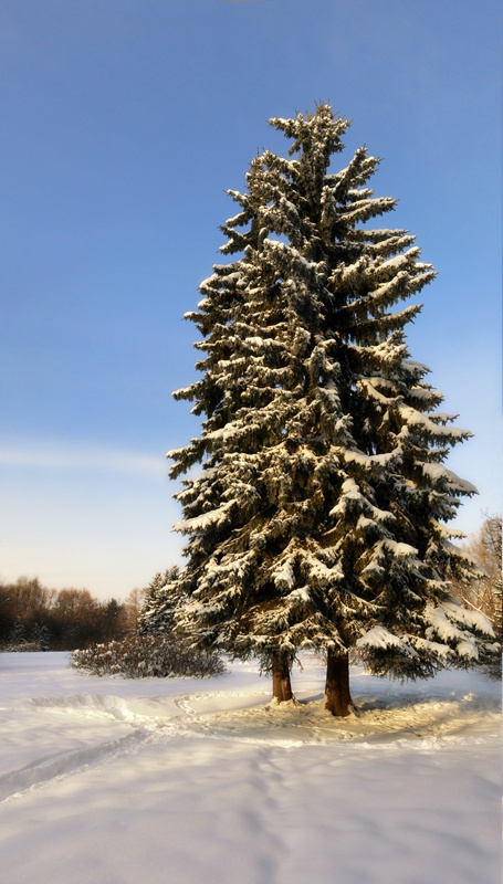 Вечерело 