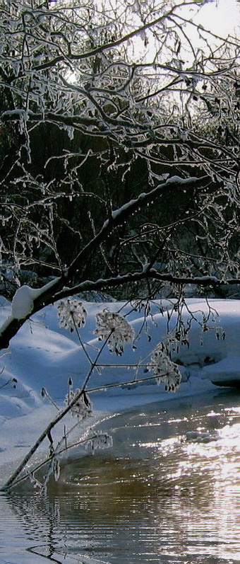 Кружева. 