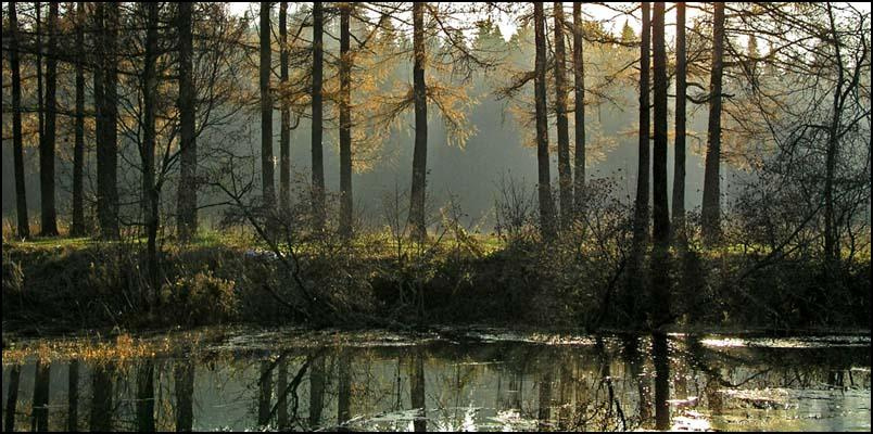 В закатных осенних лучах. Осень вечер лучи