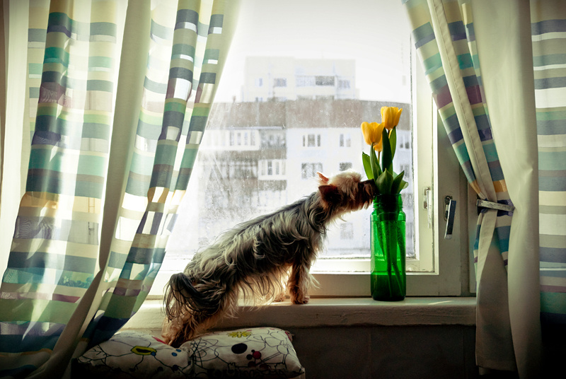9 марта. 