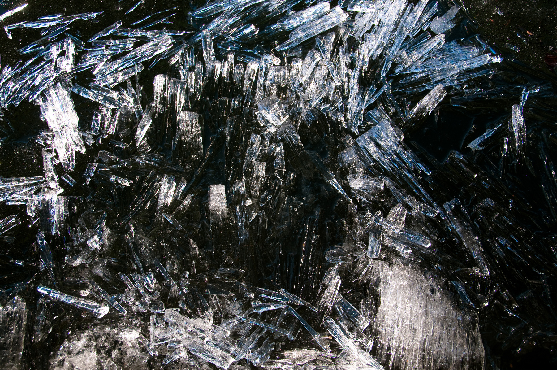 Ледяной хрусталь лёд, пруд, вода, хрусталь, фото, оттепель, весна