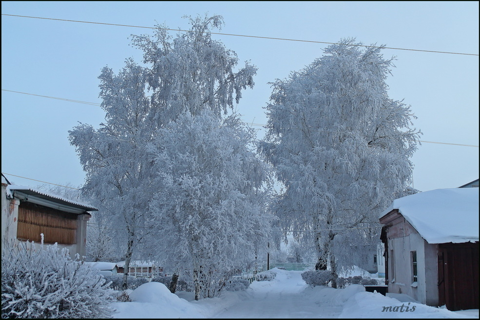 морозное утро 