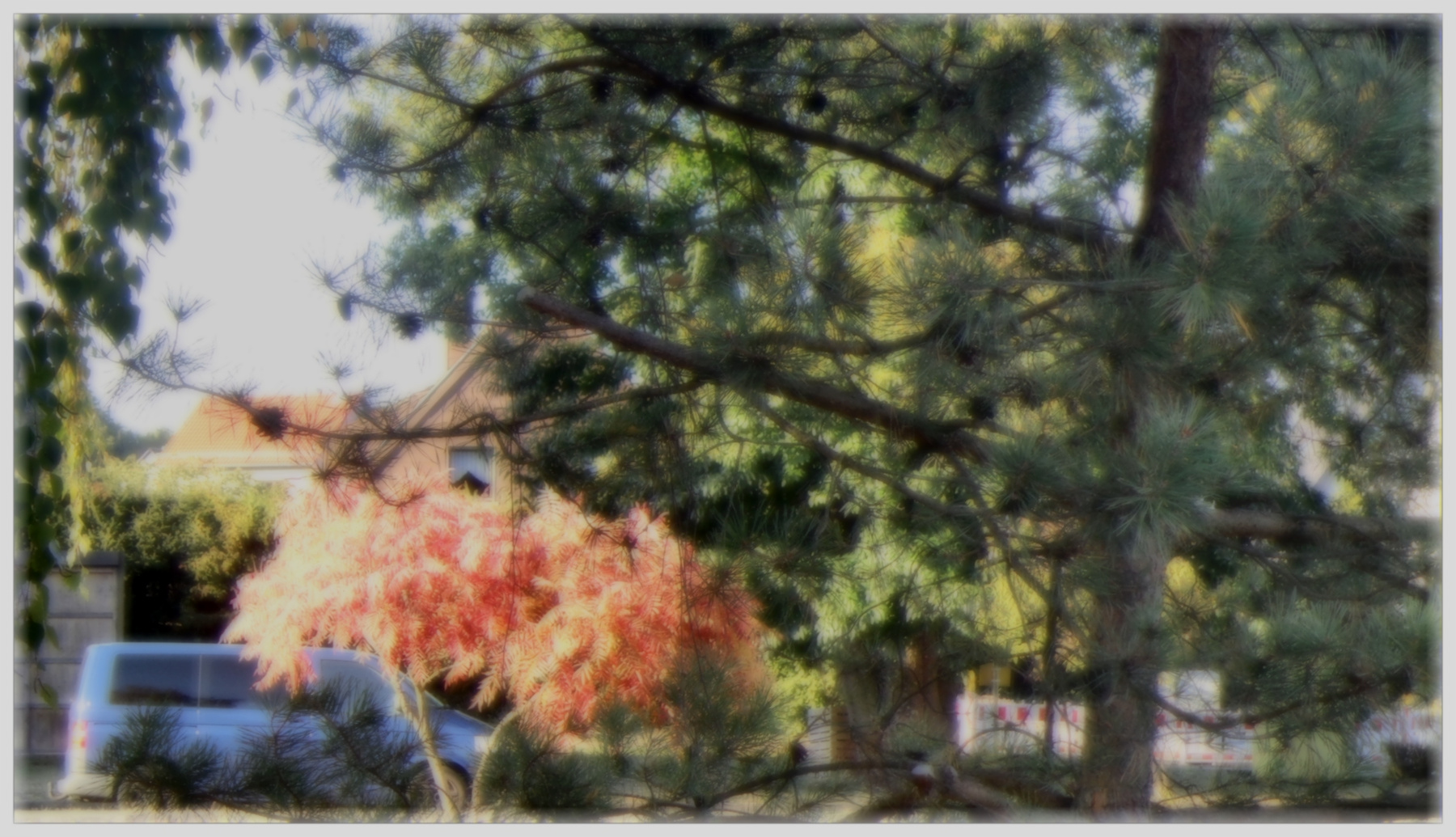 *** landscape village
