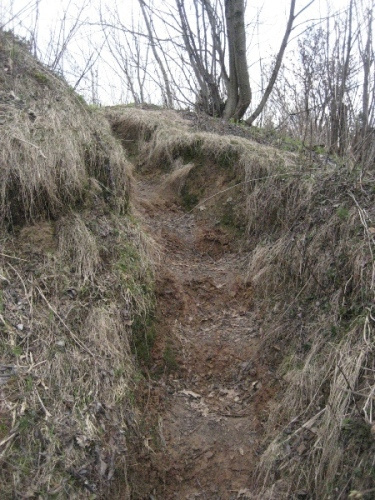 дорожка 