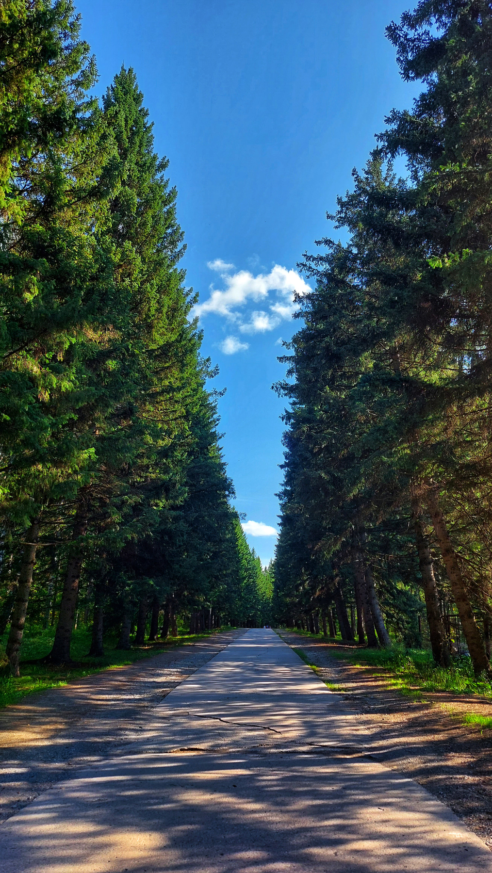 Прогулка 