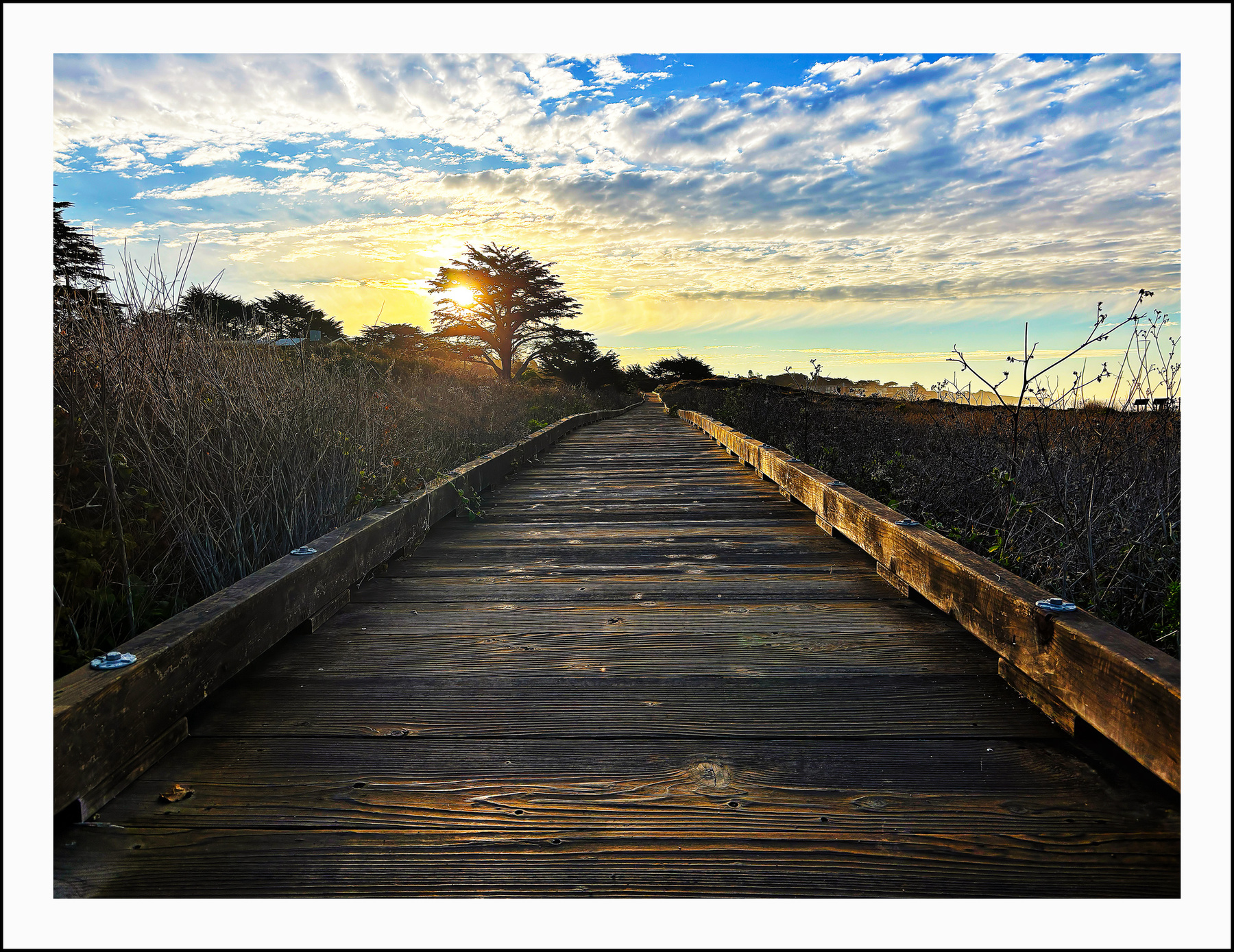 Cambria Boardwalk 