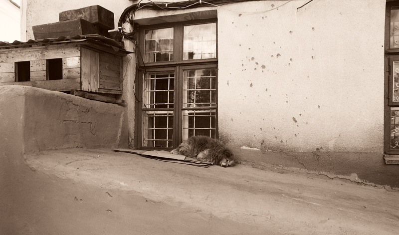сторож 